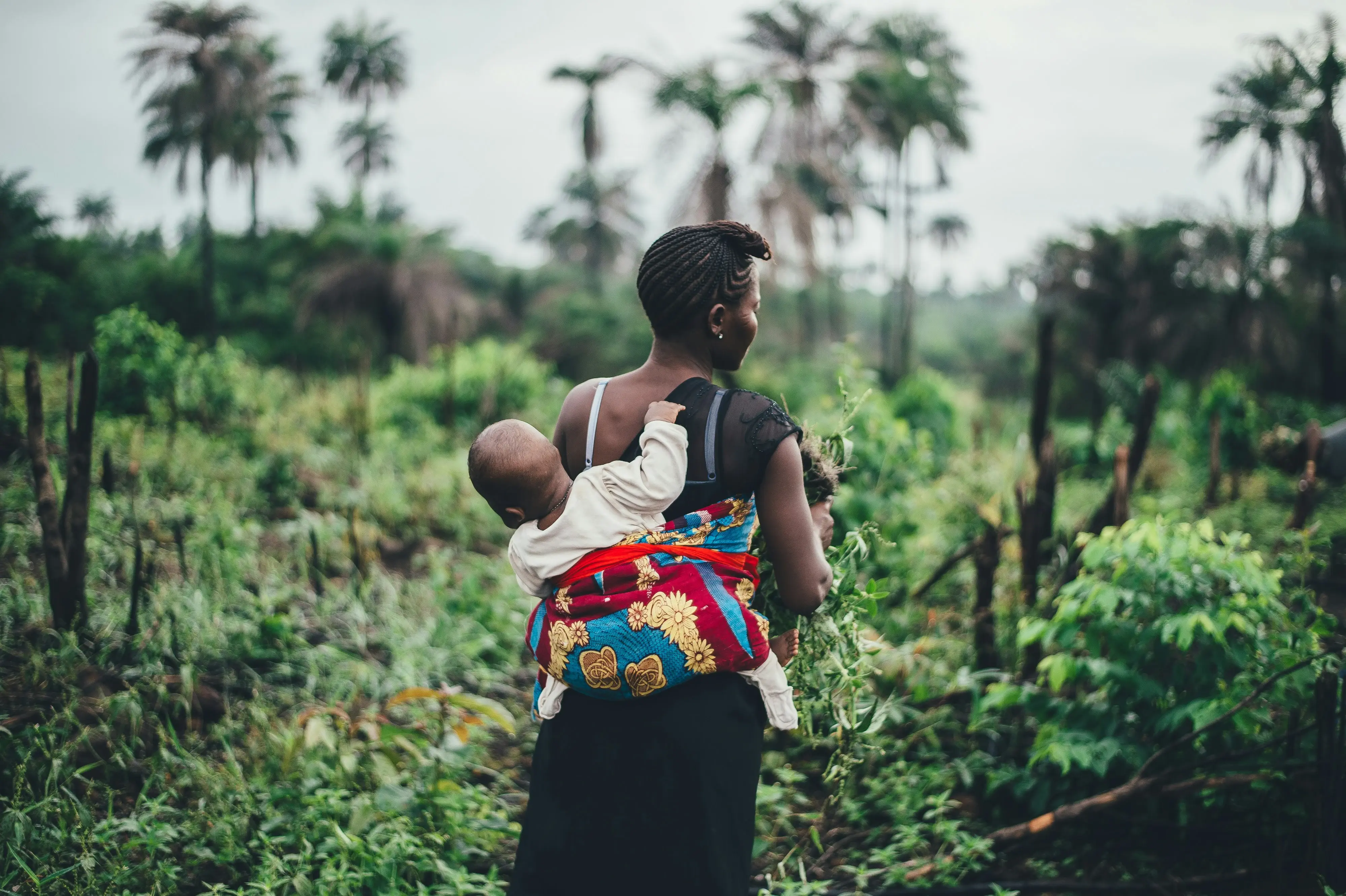 Obaatanpa mother